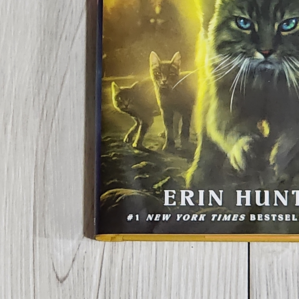 Warriors: A Starless Clan - River Hardcover Book by Erin Hunter - Picture 4 of 15